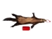 Crown Sable Skin: Gallery Item - 678-20-G2542 (Y2F)