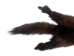 Crown Sable Skin: Gallery Item - 678-20-G2542 (Y2F)