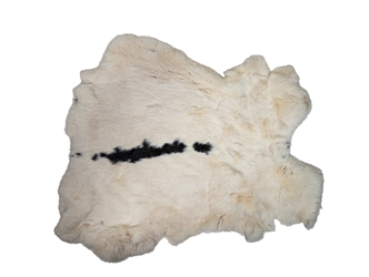 Chichesters Best Collection: Spotted Czech Rabbit Skin: Gallery Item 