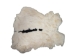 Chichester's Best Collection: Spotted Czech Rabbit Skin: Gallery Item - CB-283-1-CZNSP1-G6290 (Y2IRE)