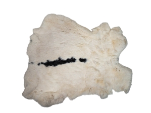 Chichester's Best Collection: Spotted Czech Rabbit Skin: Gallery Item 