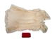 Chichester's Best Collection: White Czech Rabbit Skin: Gallery Item - CB-283-1-CZW-G6287 (Y2IRE)