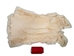 Chichester's Best Collection: White Czech Rabbit Skin: Gallery Item - CB-283-1-CZW-G6287 (Y3L)