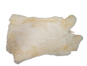 Chichester's Best Collection: White Czech Rabbit Skin: Gallery Item 