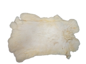 Chichester's Best Collection: White Czech Rabbit Skin: Gallery Item 