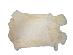 Chichester's Best Collection: White Czech Rabbit Skin: Gallery Item 