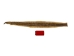 Prairie Rattlesnake Skin with Rattle: Gallery Item - 1282-SKI-G6953 (Y2LRG)