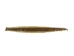 Prairie Rattlesnake Skin with Rattle: Gallery Item - 1282-SKI-G6953 (Y2LRG)