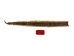 Prairie Rattlesnake Skin with Rattle: Gallery Item - 1282-SKI-G6985 (Y2LRG)