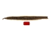 Prairie Rattlesnake Skin with Rattle: Gallery Item - 1282-SKI-G6986 (Y2LRG)