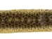 Prairie Rattlesnake Skin with Rattle: Gallery Item - 1282-SKI-G6987 (Y2LRG)
