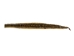 Prairie Rattlesnake Skin with Rattle: Gallery Item - 1282-SKI-G6987 (Y2LRG)