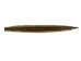 Prairie Rattlesnake Skin with Rattle: Gallery Item - 1282-SKI-G6988 (Y2LRG)