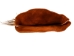 Icelandic Sheepskin and Cow Leather Bag: Gallery Item - 1432-10-G7556 (Y1FRB)