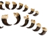 Real Black Bear Claw: Set of 20: Gallery Item - 209-04-SET-G6594 (Y2DRG)