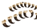 Real Black Bear Claw: Set of 20: Gallery Item - 209-04-SET-G6594 (Y2DRG)
