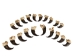 Real Black Bear Claw: Set of 20: Gallery Item - 209-04-SET-G6594 (Y2DRG)