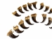 Real Mounted Black Bear Claw: Set of 20: Gallery Item - 209-04-SET-G6595 (Y2DRG)
