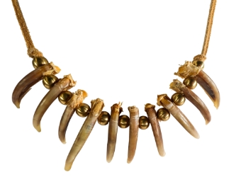 Real Iroquois Badger Claw Necklace: 10-Claw: Gallery Item 