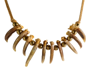 Real Iroquois Badger Claw Necklace: 10-Claw: Gallery Item 