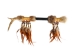 Iroquois Talking Stick: Gallery Item - 420-G6590 (Y1HRF)