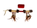 Iroquois Talking Stick: Gallery Item - 420-G6591 (Y1HRF)