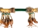 Iroquois Talking Stick: Gallery Item - 420-G6592 (Y1HRF)