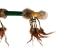 Iroquois Talking Stick: Gallery Item - 420-G6592 (Y1HRF)