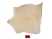 Brightened Goat Rawhide: Large: Gallery Item - 55-50LB-G6978 (Y2JRK)
