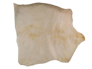 Brightened Goat Rawhide: Large: Gallery Item 
