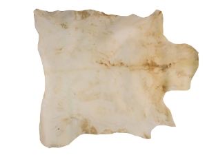 Bleached Goat Rawhide: Extra Large: Gallery Item 