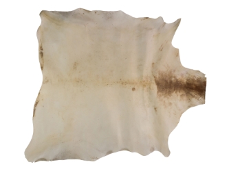Bleached Goat Rawhide: Extra Extra Large: Gallery Item 