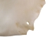 Bleached Goat Rawhide: Extra Extra Large: Gallery Item - 55-50XXB-G6974 (Y2JRF)