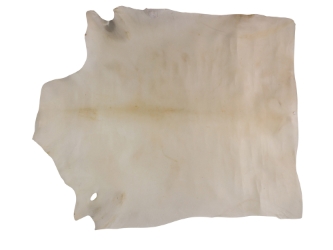 Bleached Goat Rawhide: Extra Extra Large: Gallery Item 