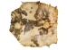 Goat Rawhide: XXL: Gallery Item - 55-50XXL-G6975 (Y2JRF)
