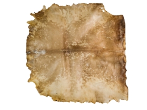 Goat Rawhide: XXL: Gallery Item 