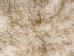 Cashmere Goatskin: Small: Gallery Item - 66-CS-G7479 (Y1GRK)