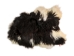 Icelandic Sheepskin: Piebald: 110-120cm or 44" to 48": Gallery Item - 7-204-G6475 (Y2IXX)