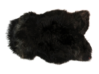 Icelandic Sheepskin: Blacky Brown: 120-130cm or 48" to 52": Gallery Item 