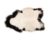 Icelandic Sheepskin: Blacky Brown with White Edges: 120-130cm or 48" to 52":Gallery Item - 7-309-G6480 (Y2IXX)