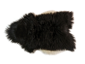 Icelandic Sheepskin: Blacky Brown with White Edges: 120-130cm or 48" to 52":Gallery Item 