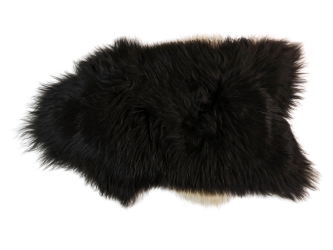 Icelandic Sheepskin: Blacky Brown with White Edges: 120-130cm or 48" to 52":Gallery Item 